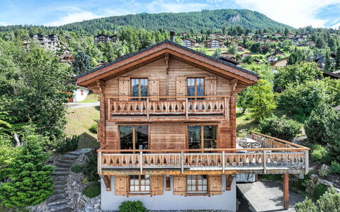 Nendaz 635: Cloud, Sky, Plant, Building, Mountain, Window, Tree, Wood, Natural Landscape, Landscape