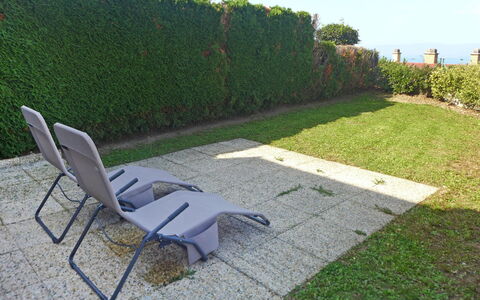 Bellevue: Grass, Furniture, Property, Lawn, Chair, Outdoor Furniture, Shrub, Landscaping, Grass Family, Garden