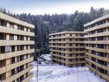 Flims 120