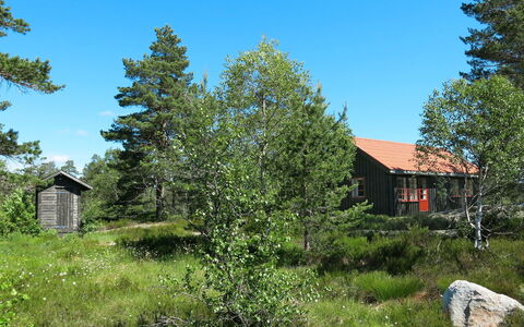 Førevanns Hytta: Sky, Plant, Property, Leaf, Tree, Natural Landscape, Larch, Land Lot, Vegetation, House