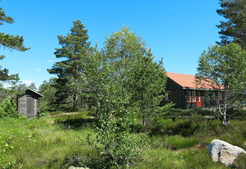 Førevanns Hytta: Sky, Plant, Property, Leaf, Tree, Natural Landscape, Larch, Land Lot, Vegetation, House