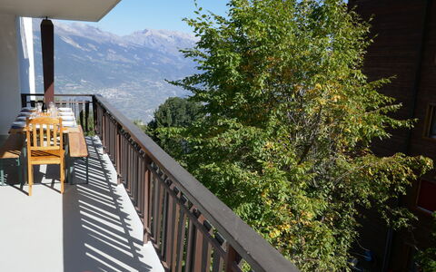 Nendaz 663: Property, Tree, Real Estate, Home, Architecture, House, Balcony, Handrail, Building, Room