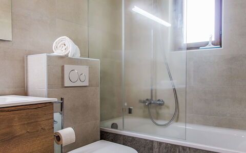 Nendaz 663: Plumbing Fixture, Property, Tap, Bathroom, Shower Head, Shower, Interior Design, Building, Wood