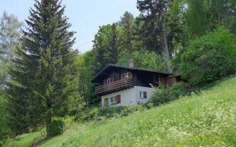 Chalet Ninette: Plant, Plant Community, Sky, Building, Natural Landscape, House, Tree, Larch, Land Lot, Window
