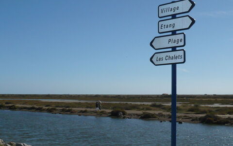 La Maison de L'Etang: Water, Sky, Ecoregion, Plant, Natural Landscape, Lake, Bank, Landscape, Horizon, Shore