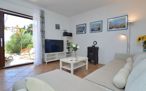 Mihotić: Furniture, Plant, Property, Table, Picture Frame, Houseplant, Couch, Comfort, Interior Design, Flowerpot