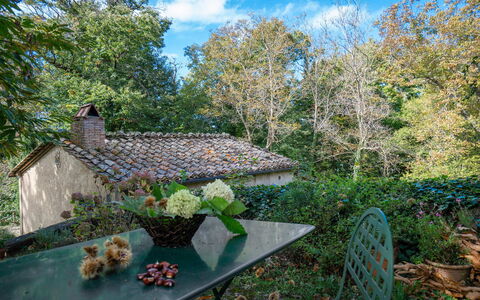 Casa Di Lilli: Leaf, Nature, Vegetation, Branch, Shrub, Plant Community, Spring, Garden, Groundcover, Twig