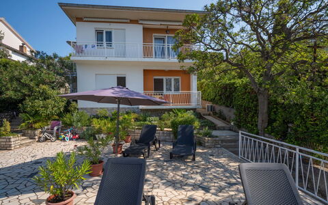 Iris: Plant, Building, Sky, Property, Furniture, Window, Flowerpot, Tree, Chair, House
