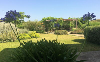 Accommodation:&nbsp;Il Carrubo