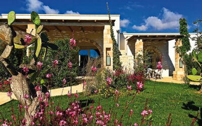Accommodation:&nbsp;L'agrumeto