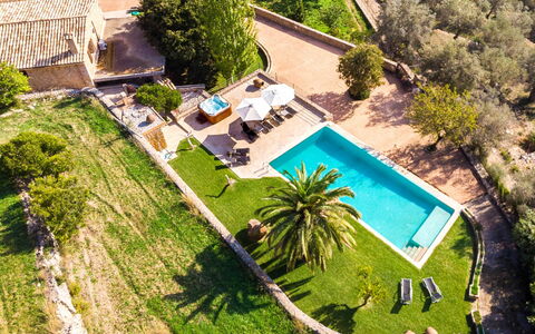 Santa Llucia: Plant, Water, Property, Building, Azure, Chair, Swimming Pool, Botany, Vegetation, Tree