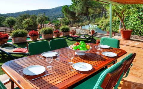 Gloria: Table, Plant, Furniture, Tableware, Property, Chair, Outdoor Table, Green, Houseplant, Flowerpot