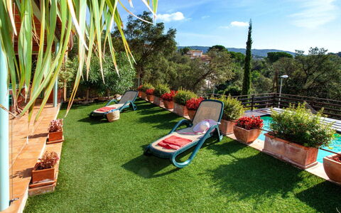 Gloria: Plant, Cloud, Plant Community, Sky, Leaf, Flowerpot, Shade, Botany, Outdoor Furniture, Vegetation