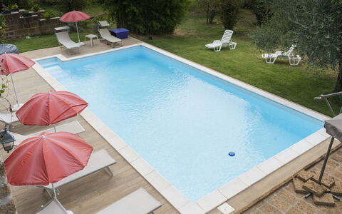 Casale ai Noccioli (Lvc165): Water, Plant, Property, Swimming Pool, Building, Azure, Rectangle, Shade, Outdoor Furniture, Chair