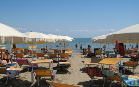 Lignano Pineta 642: Water, Sky, Furniture, Chair, Outdoor Furniture, Beach, Shade, Umbrella, Body Of Water