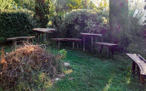Vendone 608: Plant, Table, Furniture, Plant Community, Nature, Natural Landscape, Botany, Branch, Tree, Outdoor Table