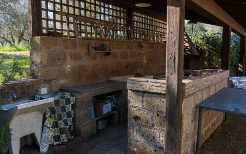 Casale di Befania: Property, Plant, Window, Building, Wood, Tree, House, Wall, Brickwork, Table