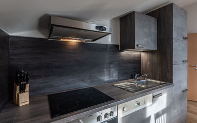 Accommodation:&nbsp;Alpenchalets 678.4