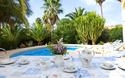 Lucien Marie: Property, Vacation, Meal, Table, Tablecloth, Resort, Tree, Palm Tree, Lunch, Real Estate