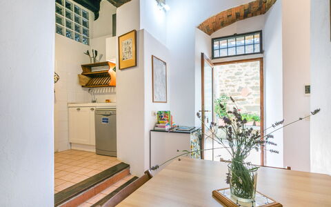 Ridaldi: Plant, Window, Flower, Flowerpot, Interior Design, Wood, Building, Houseplant, Architecture, Floor