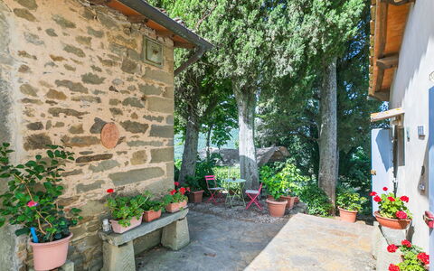 Ridaldi: Plant, Flower, Building, Property, Flowerpot, Houseplant, Road Surface, Tree, Architecture, Flooring