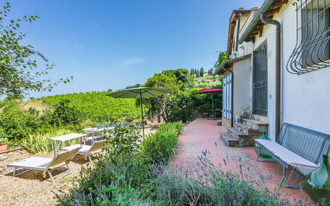 Ridaldi: Shrub, Garden, Spring, Yard, Landscaping, Backyard, Balcony