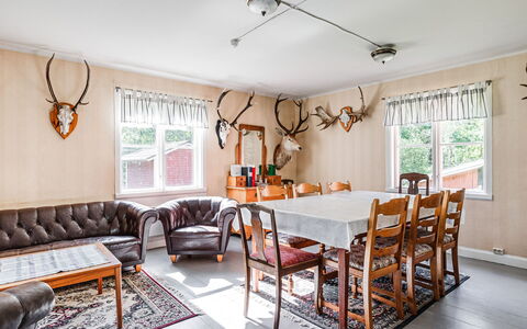 Mjöshult: Furniture, Table, Property, Chair, Wood, Window, Interior Design, Lighting, Decoration, Couch