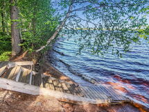 Villa Betula