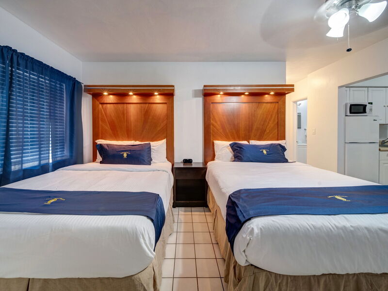 Accommodation:&nbsp;Hotel Hollywood Beach 1.5