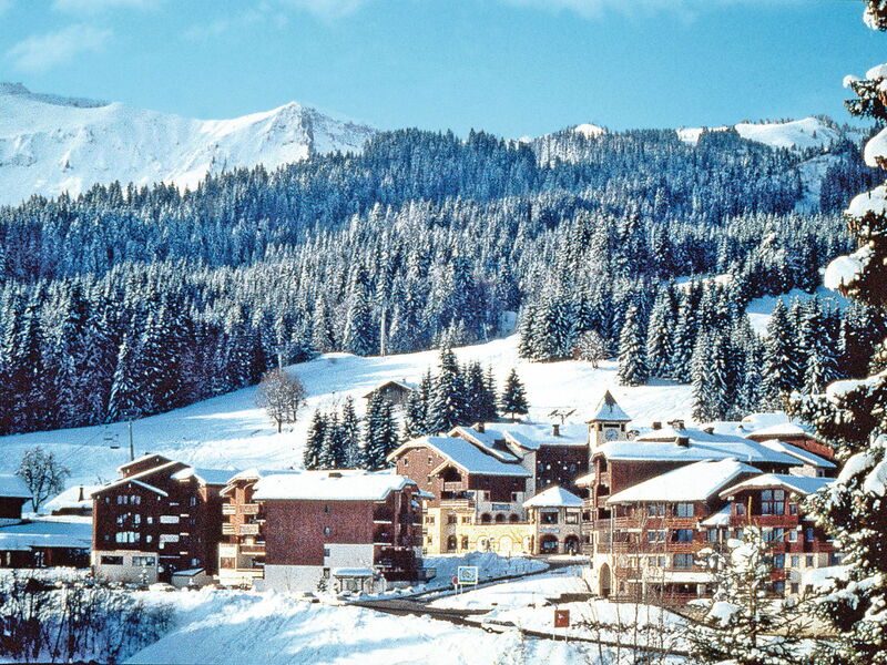 Morillon 603