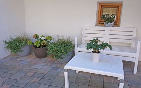 Christine: Plant, Property, Houseplant, Flowerpot, Flower, Table, Building, Rectangle, Wood, Picture Frame
