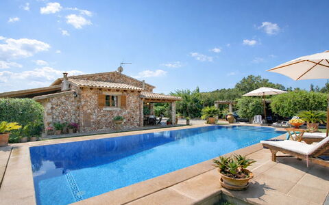 Mavi: Swimming Pool, Resort, Leisure, Estate, Eco Hotel, Villa, Vacation, Water Feature, Hacienda, Chair