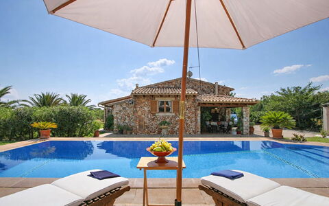 Mavi: Umbrella, Furniture, Outdoor Furniture, Swimming Pool, Resort, Chair, Shade, Eco Hotel, Flowerpot, Leisure
