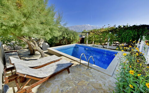 Sofija: Property, Swimming Pool, Real Estate, Backyard, House, Grass, Tree, Building, Landscape, Yard