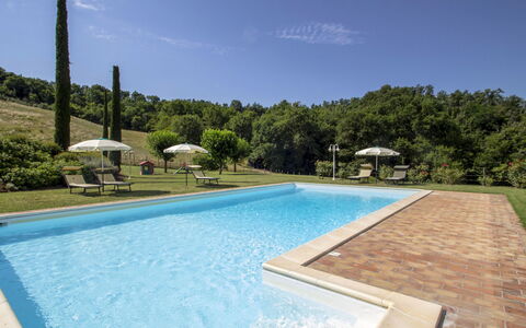 Podere: Water, Sky, Property, Swimming Pool, Plant, Azure, Rectangle, Tree, Shade, Grass