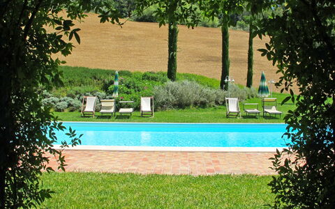 San Giovanni 801: Property, Swimming Pool, Grass, Tree, Leisure, House, Real Estate, Lawn, Land Lot, Estate
