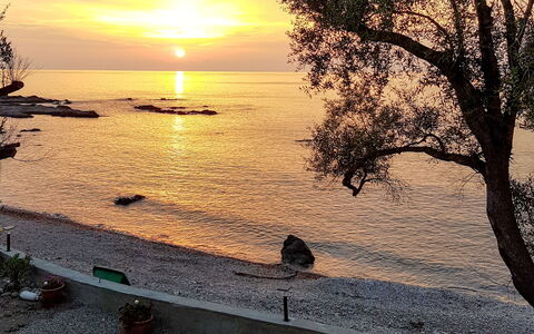 Solenzara 650: Sky, Sunset, Water, Horizon, Tree, Morning, Sea, Ocean, Cloud, Evening