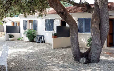Solenzara 650: Property, Tree, House, Architecture, Real Estate, Home, Woody Plant, Building, Plant, Design