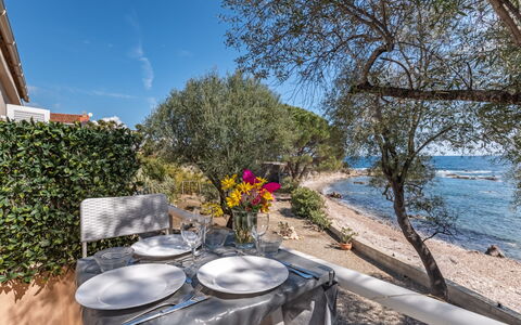 Accommodation:&nbsp;Cappone 650.5