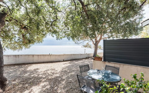 Accommodation:&nbsp;Signoria 650.3