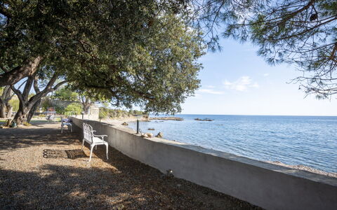 Accommodation:&nbsp;Sepia 650.6