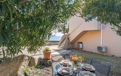 Accommodation:&nbsp;Sepia 650.6
