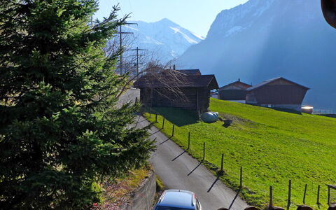 Chalet Guldeli: Mountain, Plant, Property, Sky, Building, Green, Nature, Natural Environment, Natural Landscape, Tree