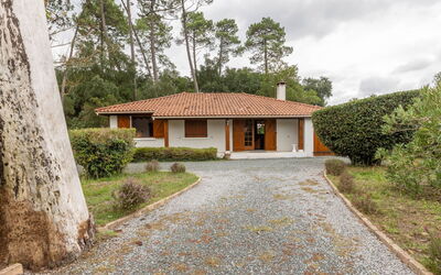 Marguerite - Capbreton, Aquitaine, France