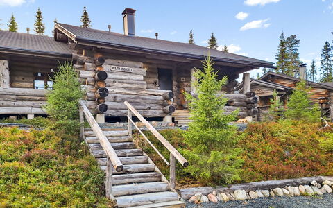 Kulta-Vuosseli a: Larch, Cottage, Log Cabin, Slope, Evergreen, Winter, Lumber, Pine Family