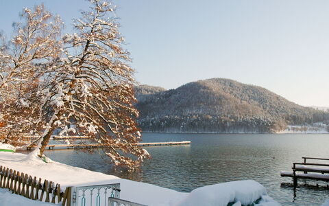 Klopeiner See 60: Sky, Water, Daytime, Snow, Nature, Natural Landscape, Wood, Tree, Mountain, Fence