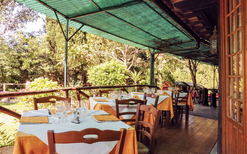 Albenga 605: Table, Furniture, Property, Chair, Shade, Tree, Tableware, Plant, Outdoor Furniture, Outdoor Table