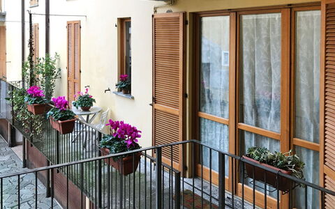 Sabina: Flower, Plant, Building, Property, Flowerpot, Window, Houseplant, Door, Wood