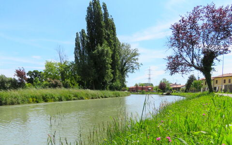 Cà Riviera Bosco Piccolo: Natural Landscape, Natural Environment, Tree, Bank, Vegetation, River, Waterway, Nature Reserve, Grass, Canal