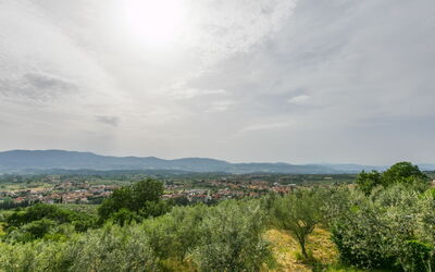 Podere Berrettino